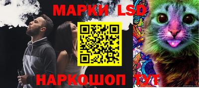 apvp Кунгур