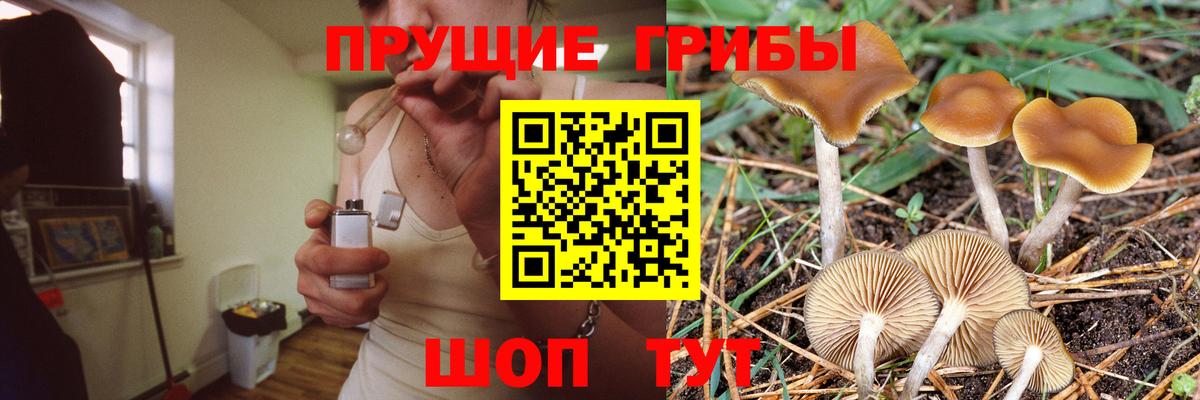 Галлюциногенные грибы мицелий Зерноград